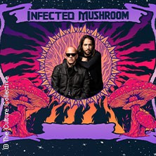Infected Mushroom - 25 Years - Live in Europe