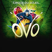 Cirque du Soleil - OVO